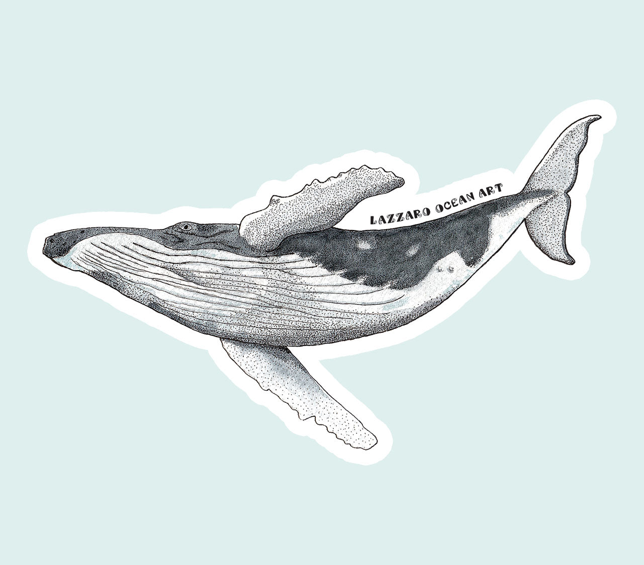 Baleine à bosse - Stickers