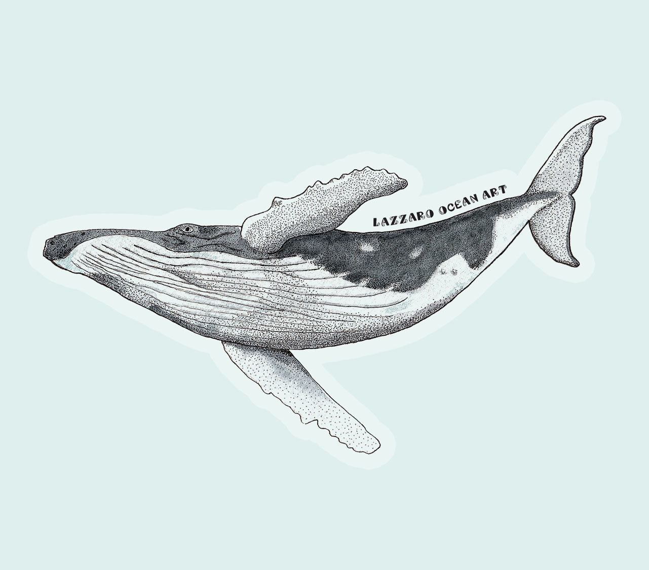 Baleine à bosse - Stickers