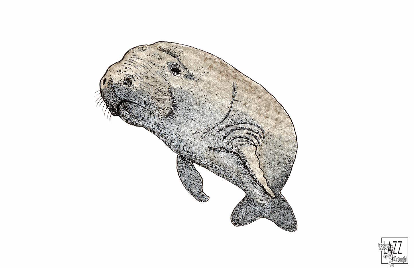 Dugong - Carte postale