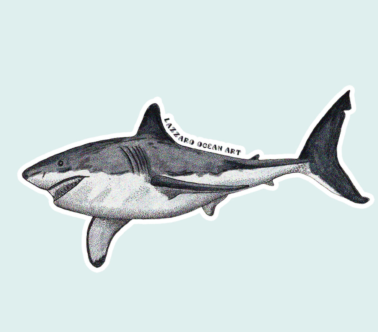 Requin blanc - Stickers