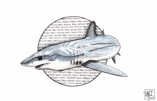 Requin mako - Carte postale