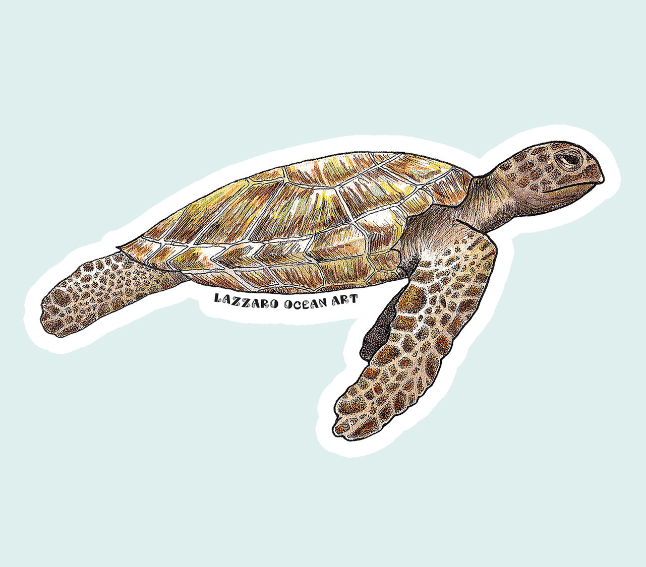 Tortue verte - Stickers