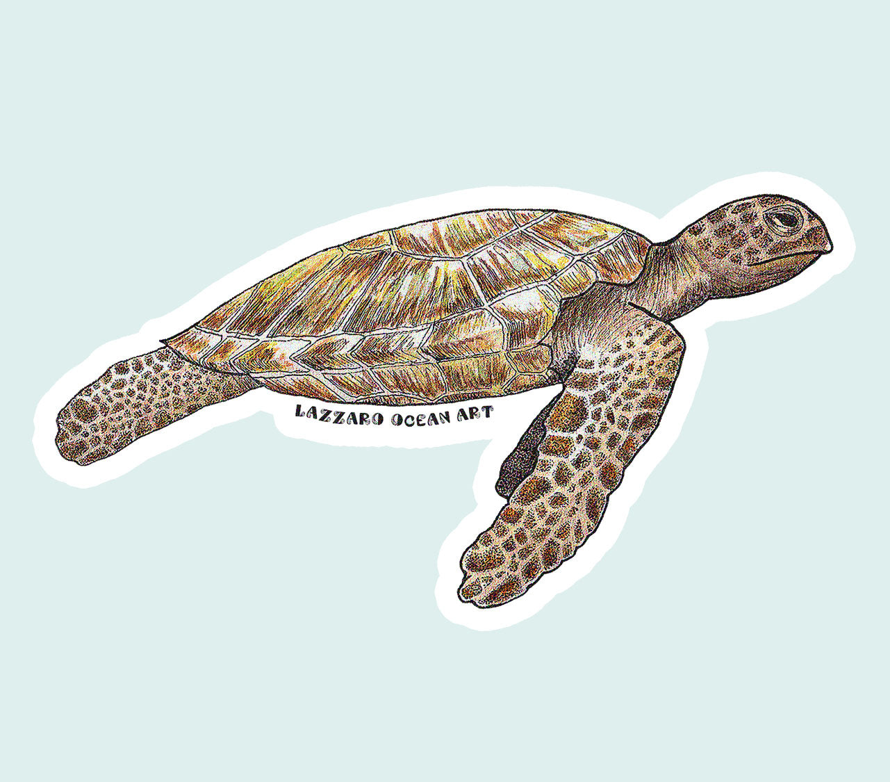 Tortue verte - Stickers