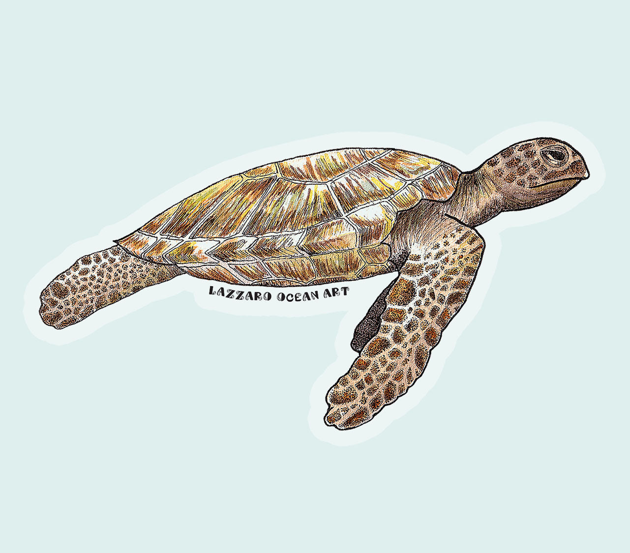 Tortue verte - Stickers